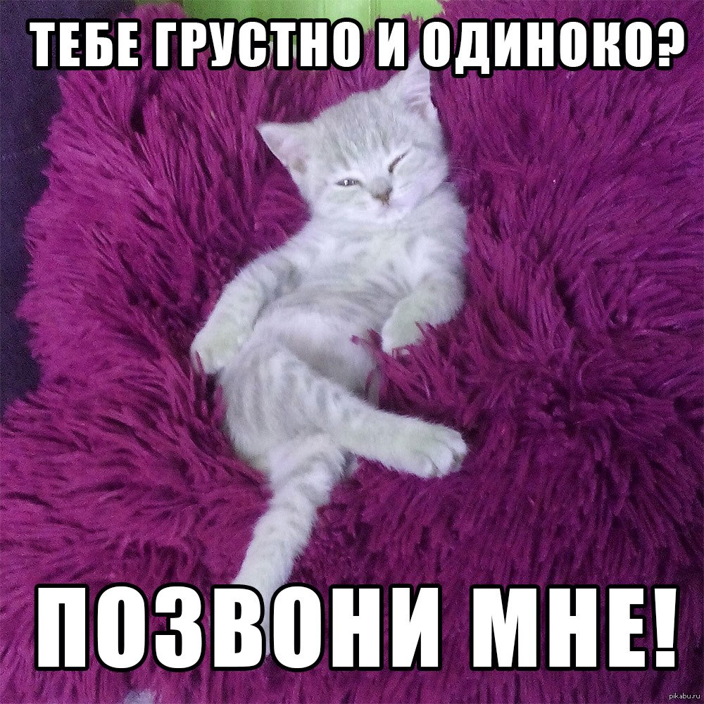 Милый котик с надписью