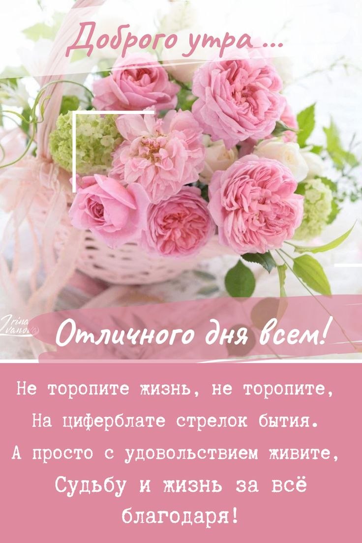 Доброе утро пионы пожелания