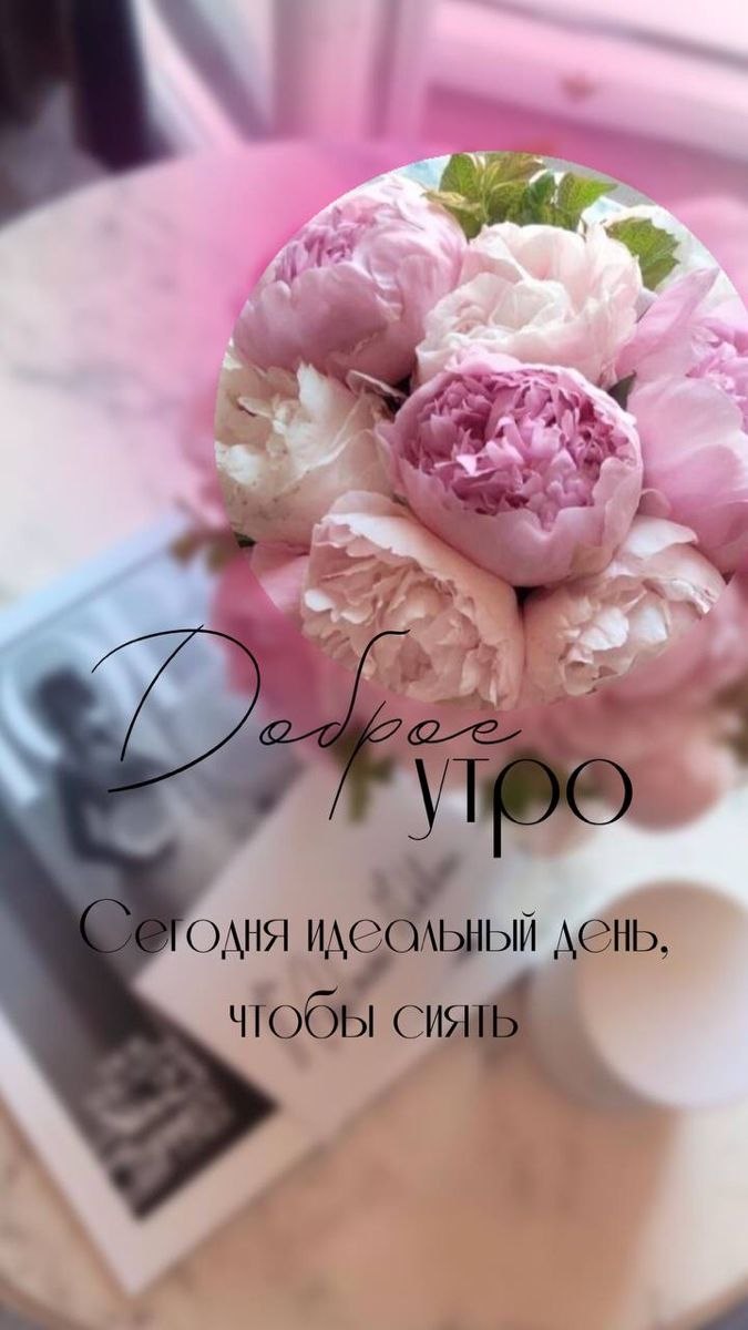 Вторник утро цветы