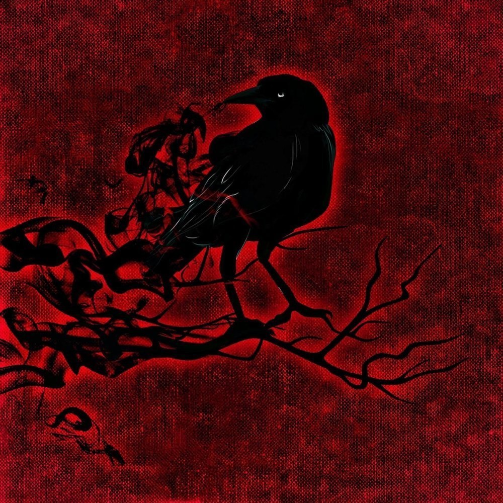Кот и ворона
