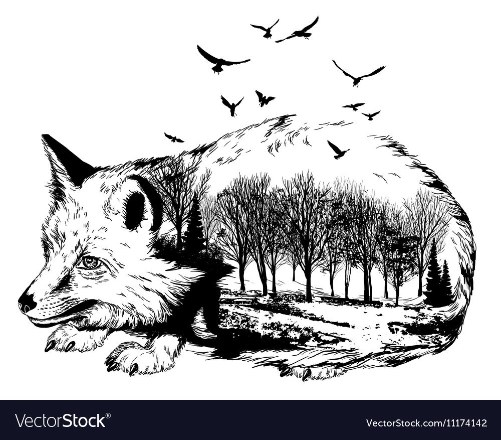 Лиса чб рисунок