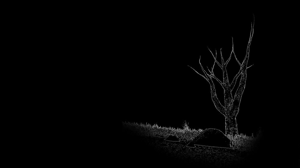 Жуткий фон для фотошопа