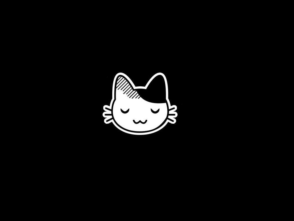 Котик на черном фоне