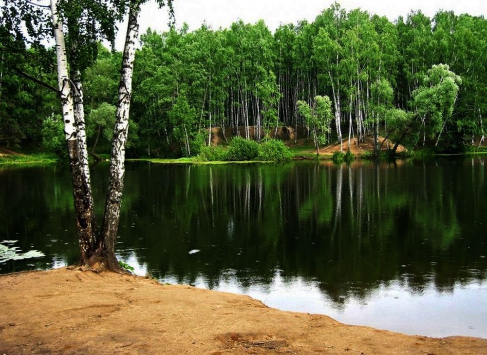 Для памятников фон природы река с березками