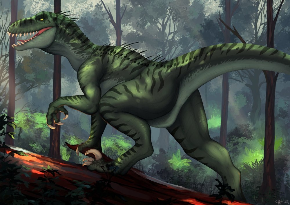 Dino Raptor feral +18