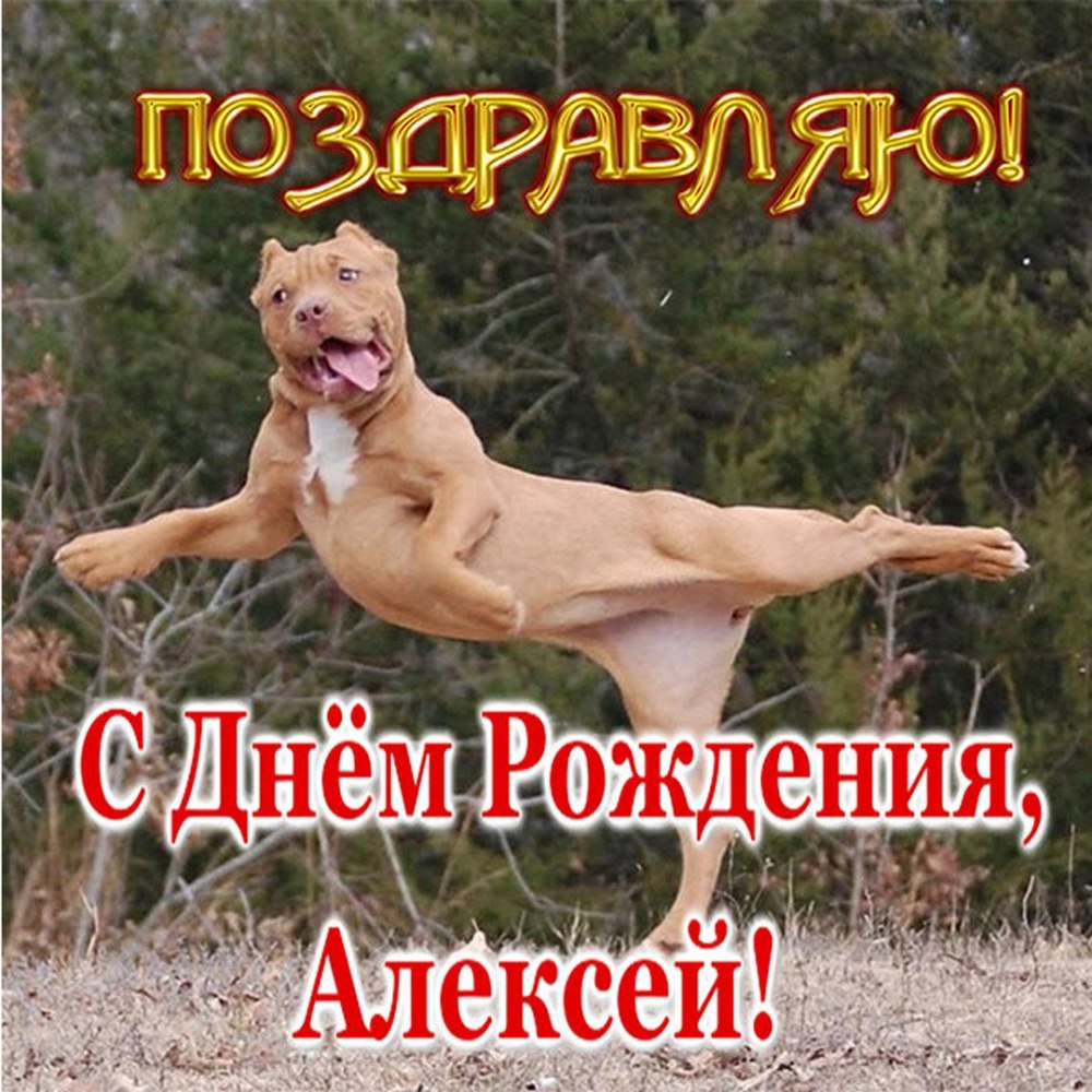 С днём рождения Алексей