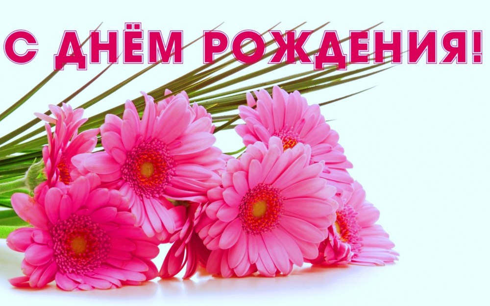 Цветы на белом фоне