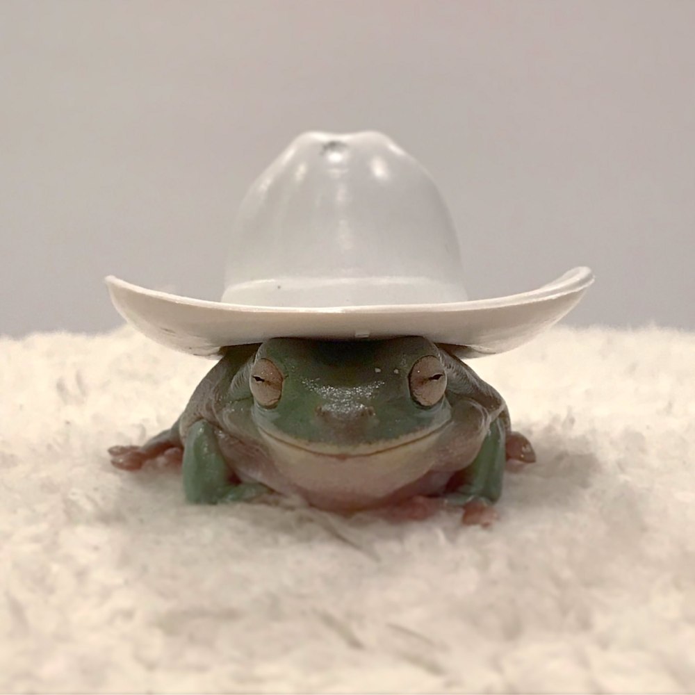 Goblincore и cottagecore
