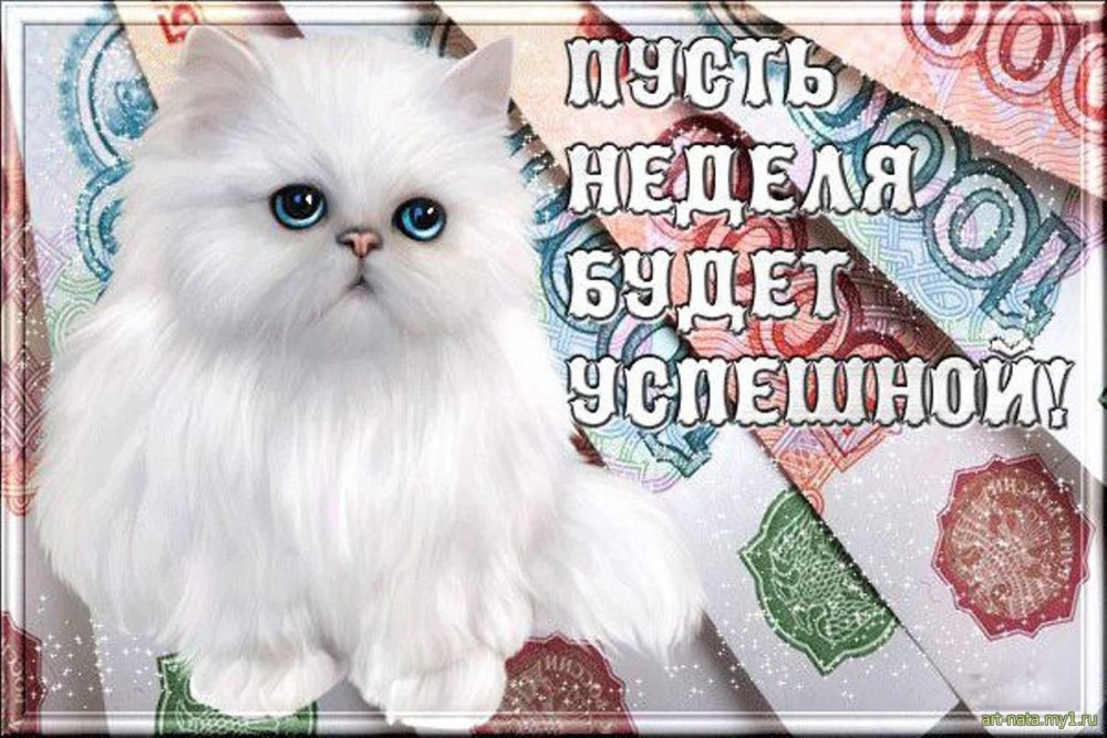 Дтброп летнее утрт понедельниуа