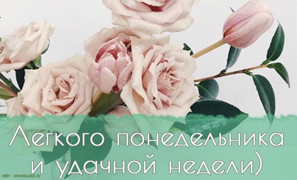 С добрым утром понедельника и удачной недели