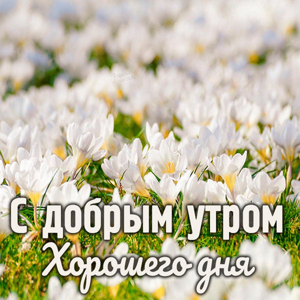 Поздравление с понедельником