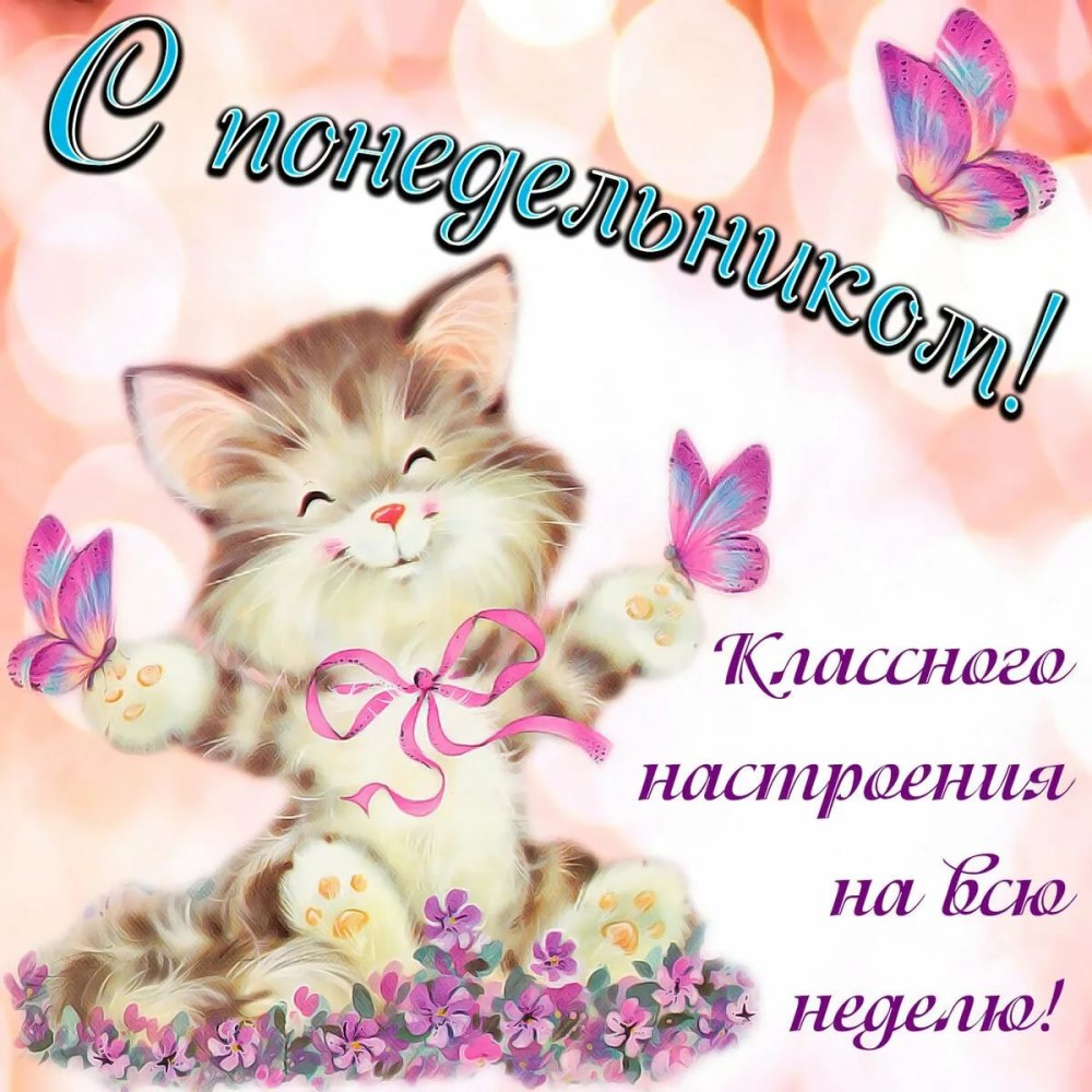 Доброго понедельника