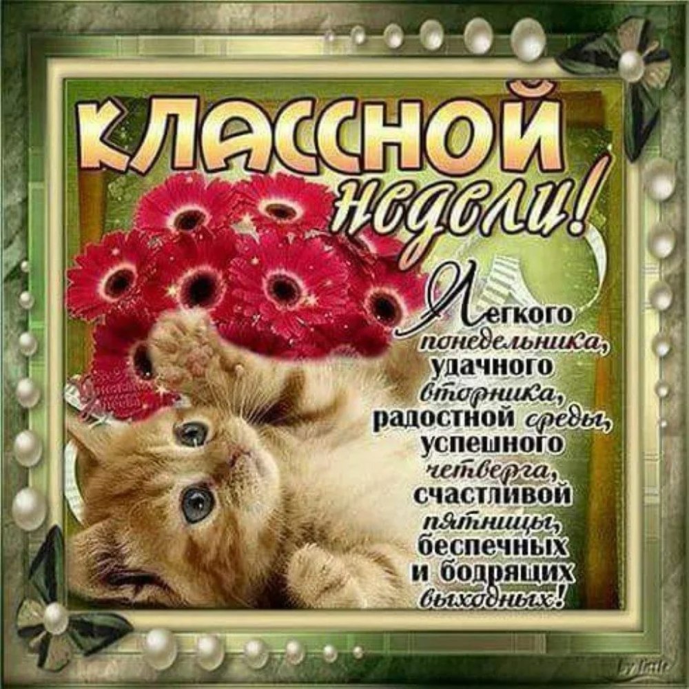 Пожелания на понедельник