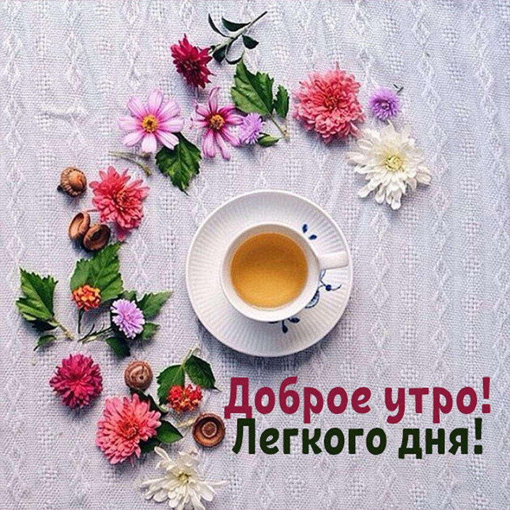 Доброго утра и отличной недели