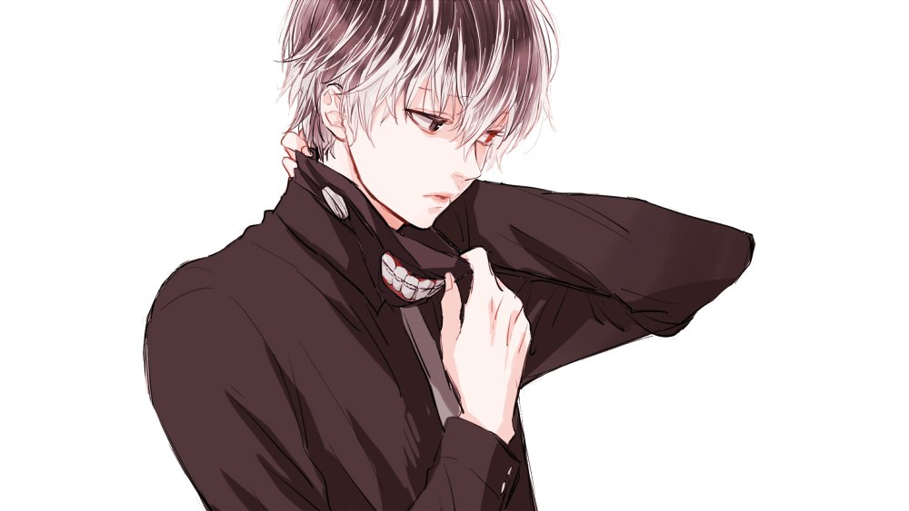 Tokyo Ghoul Sasaki Haise