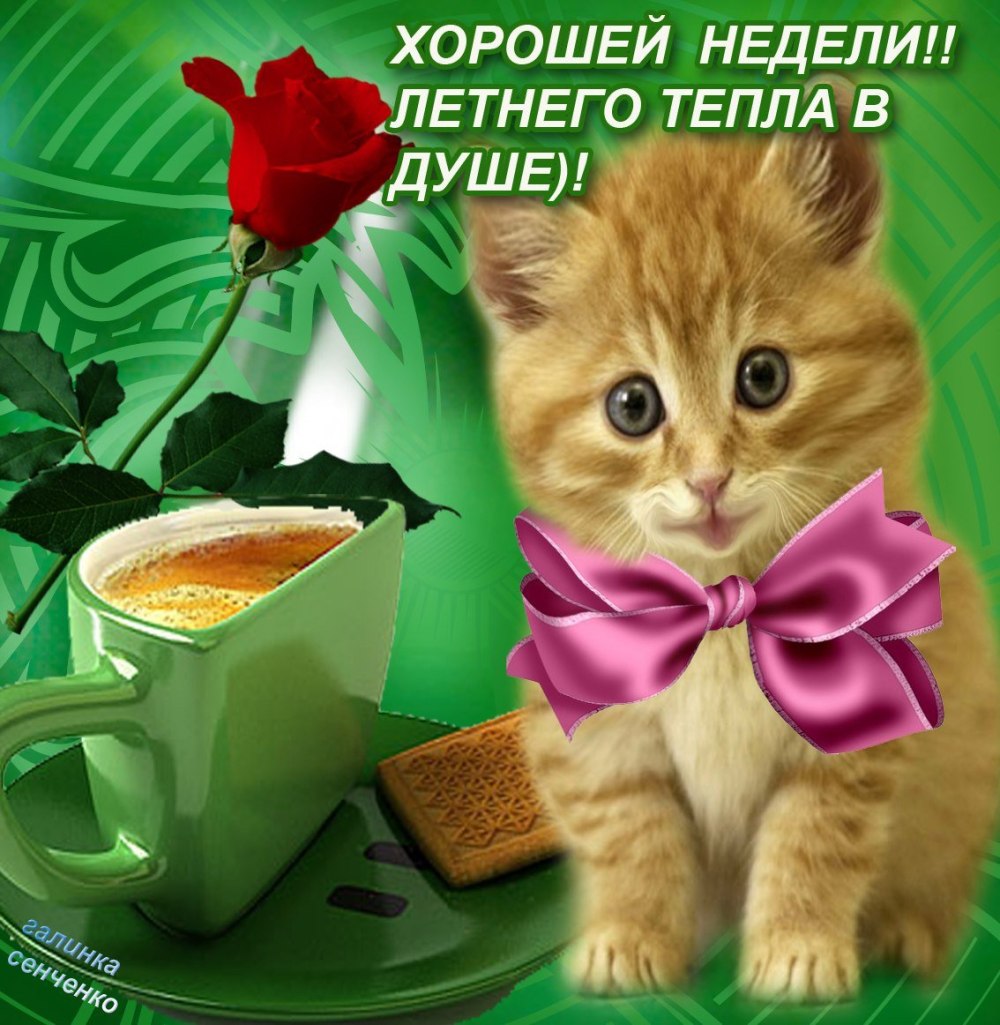 Хорошего понедельника и удачной недели