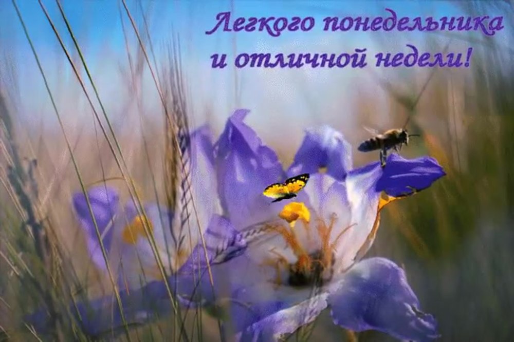 Отличного вторника и удачной недели
