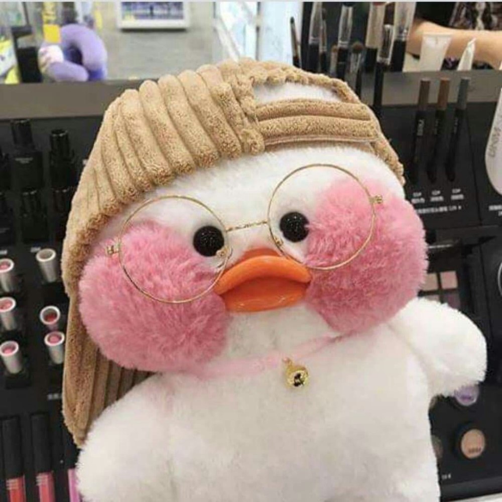 Уточка lalafanfan Эстетика