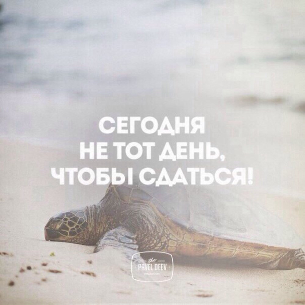 Мудрые высказывания
