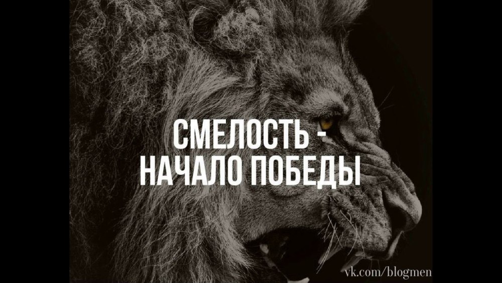 Цитаты про смелость и решительность