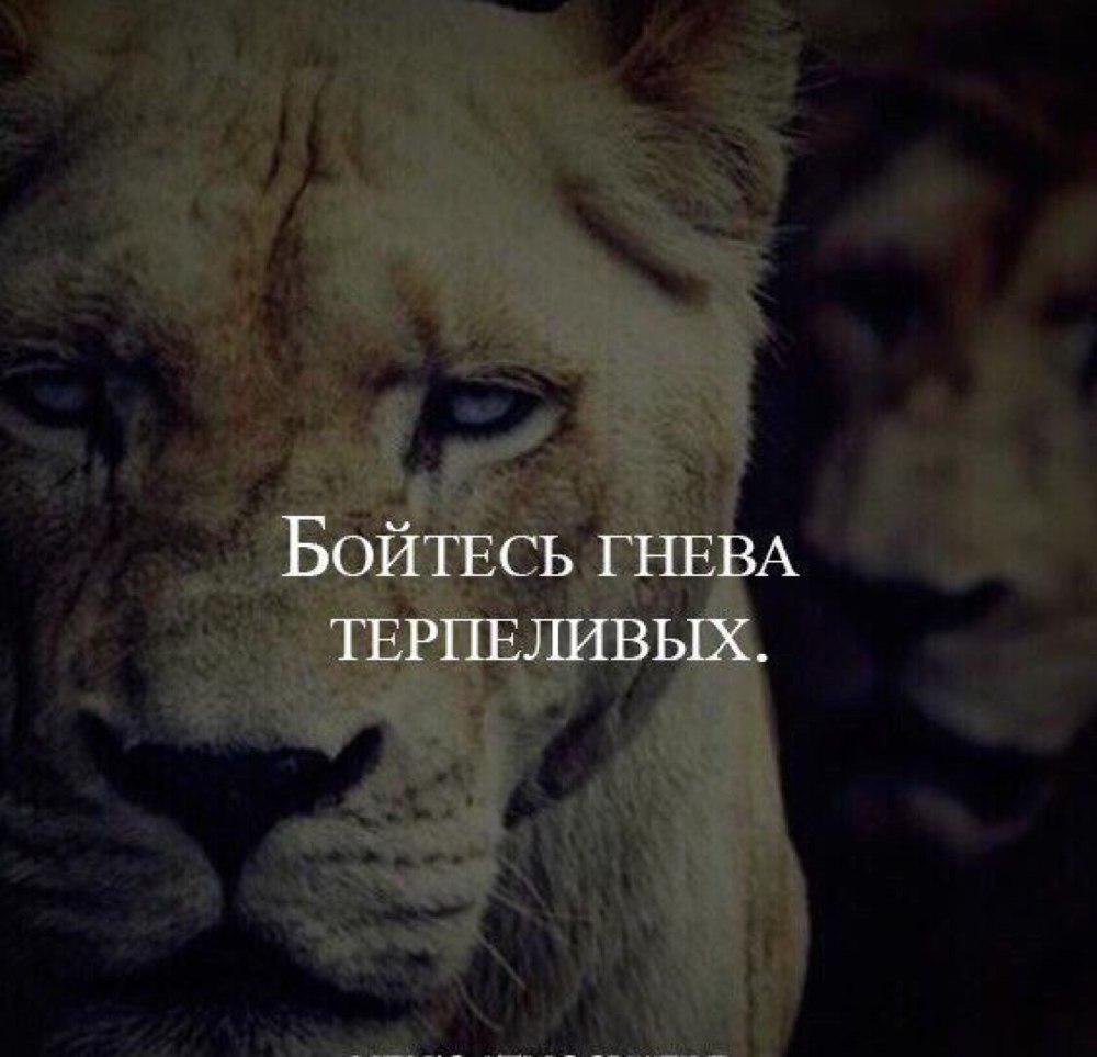 То тут то там