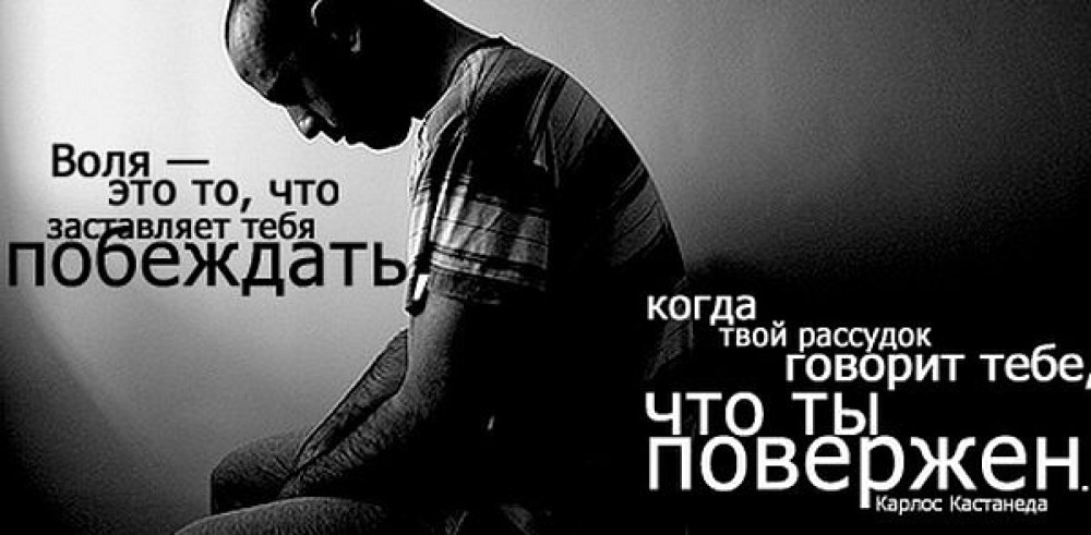 Фрай Футурама
