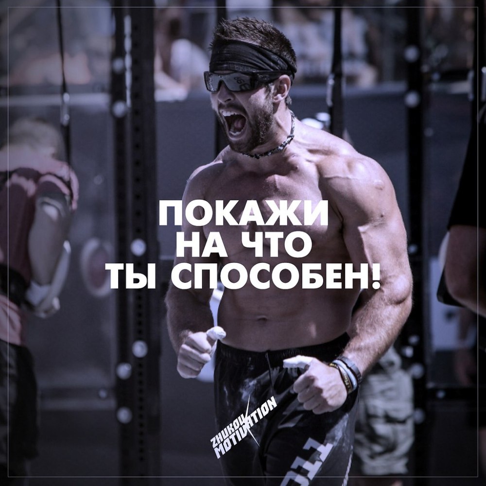 Conquer Арнольд