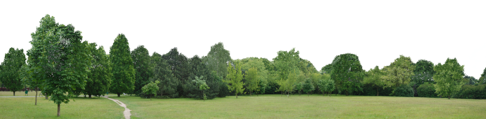 Деревья на заднем плане
