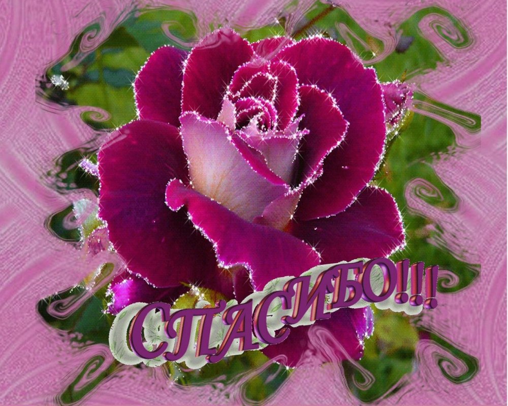 С днём рождения Ксюша