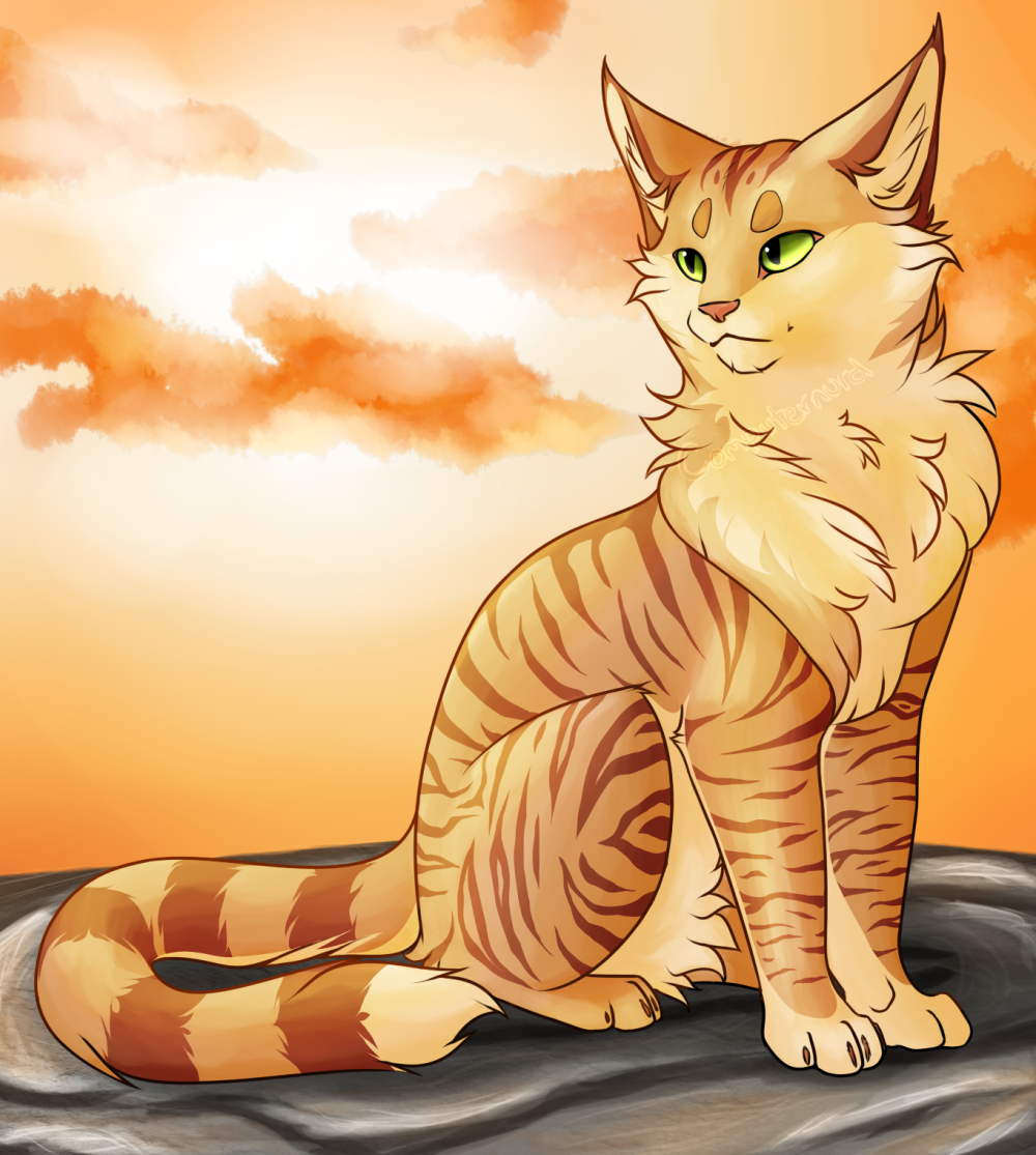 Коты Воители Песчаная буря