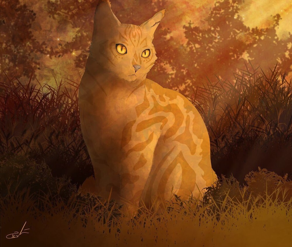 Коты Воители Солнцезвезд