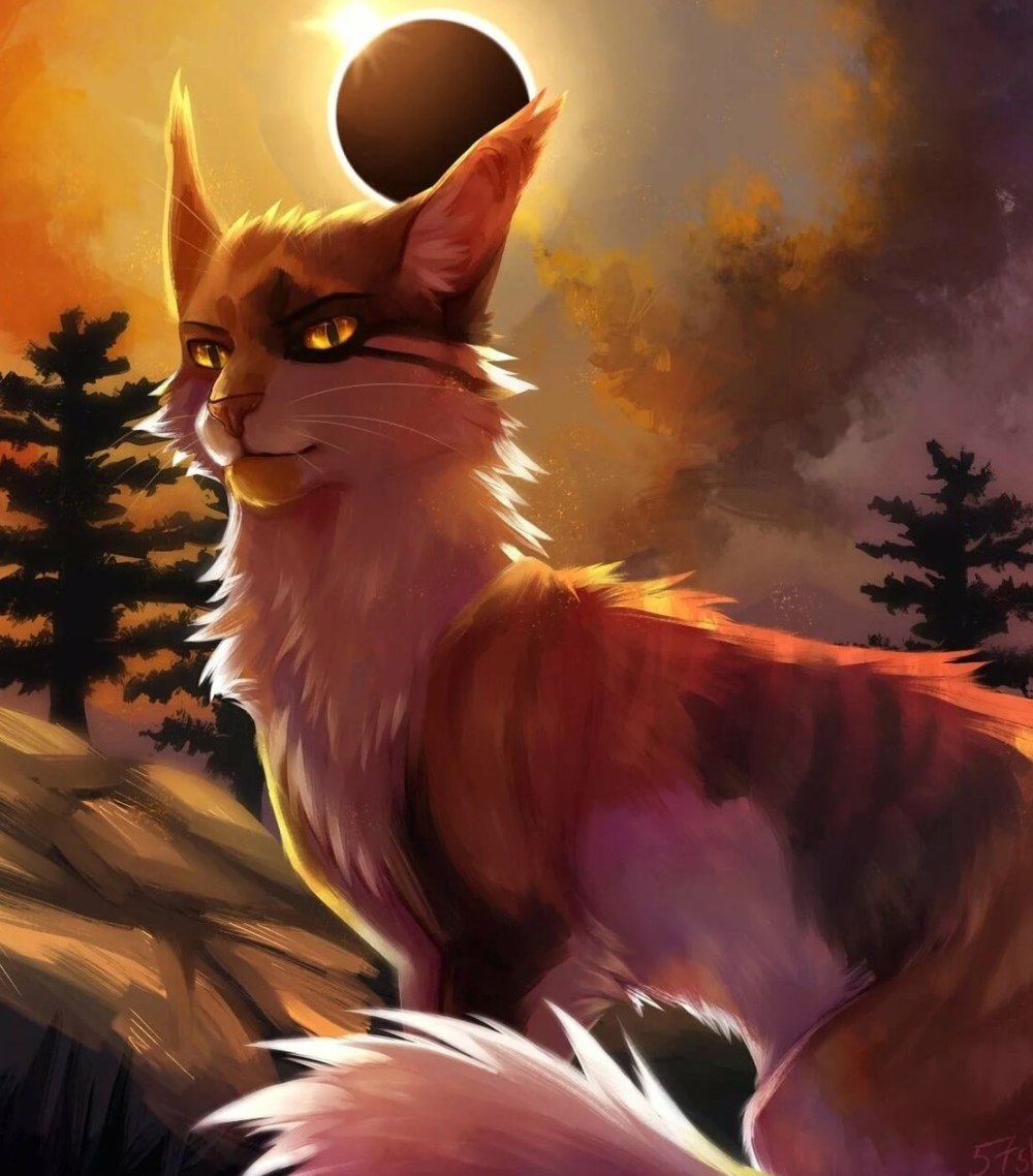 Коты Воители корнецвет