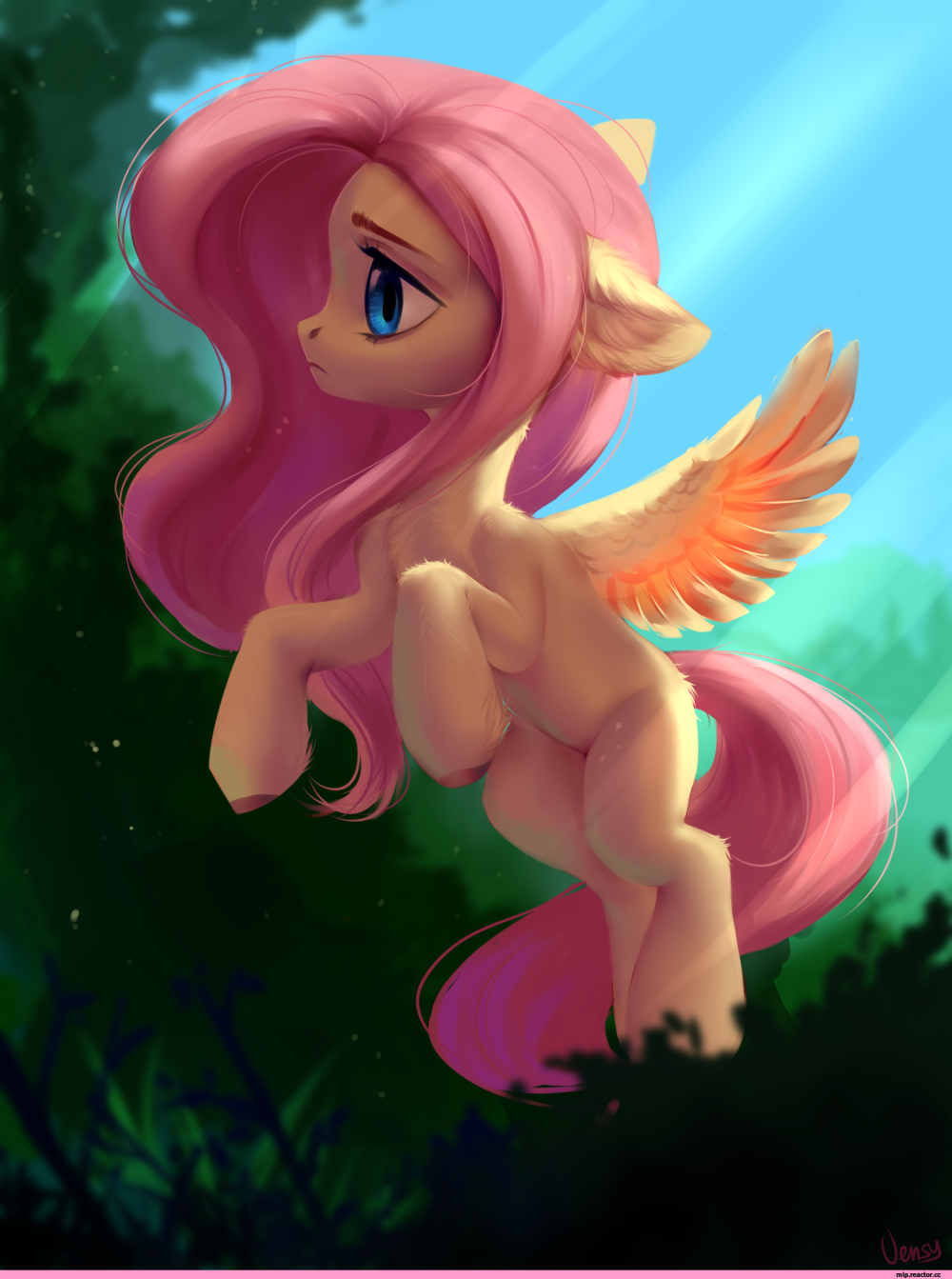 Fensu MLP
