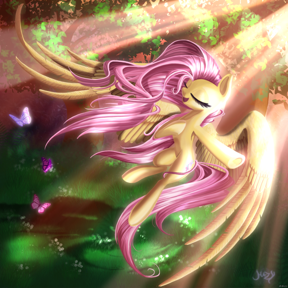 MLP Fluttershy Art