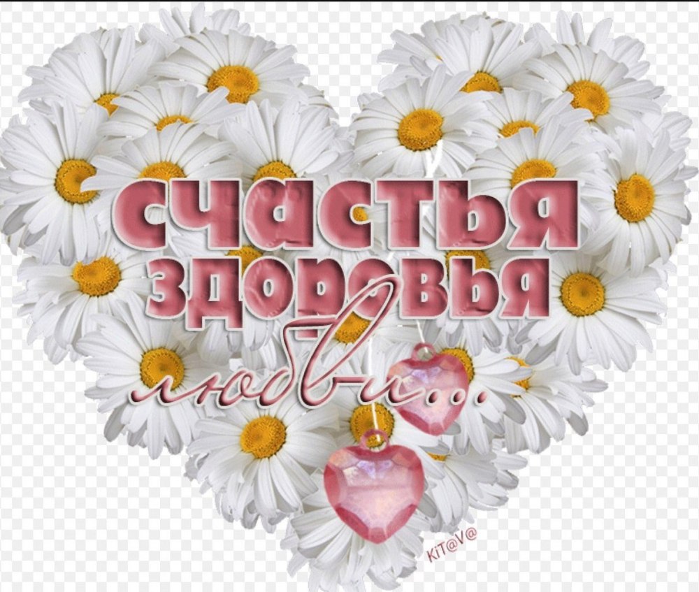 Счастья здоровья