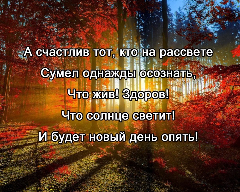 А счастлив тот кто на рассвете сумел однажды осознать картинки