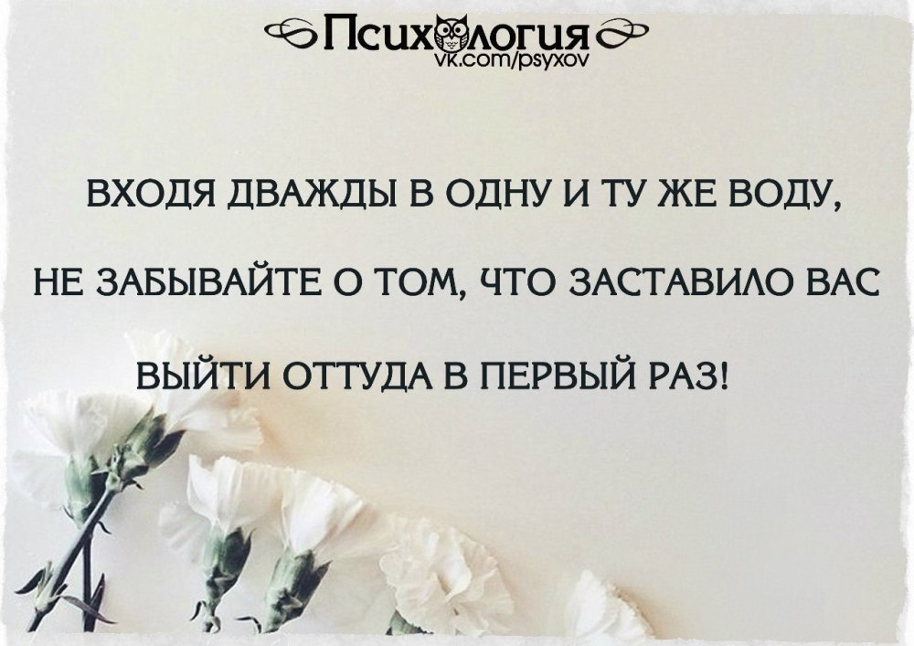 Родные цитаты