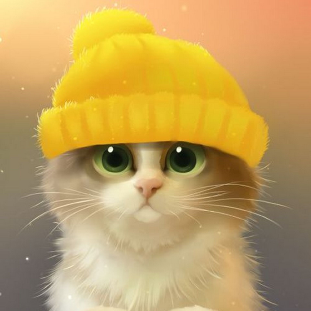 Котенок в шапочке