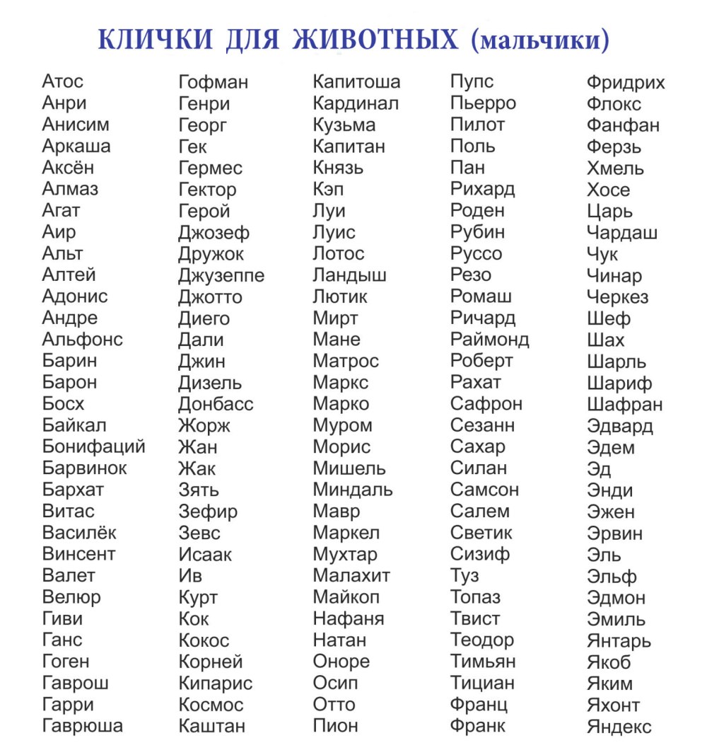 Список кличек для собак мальчиков
