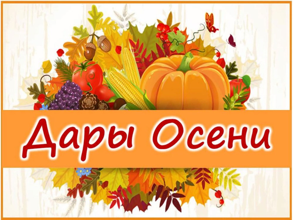 Дары природы 3