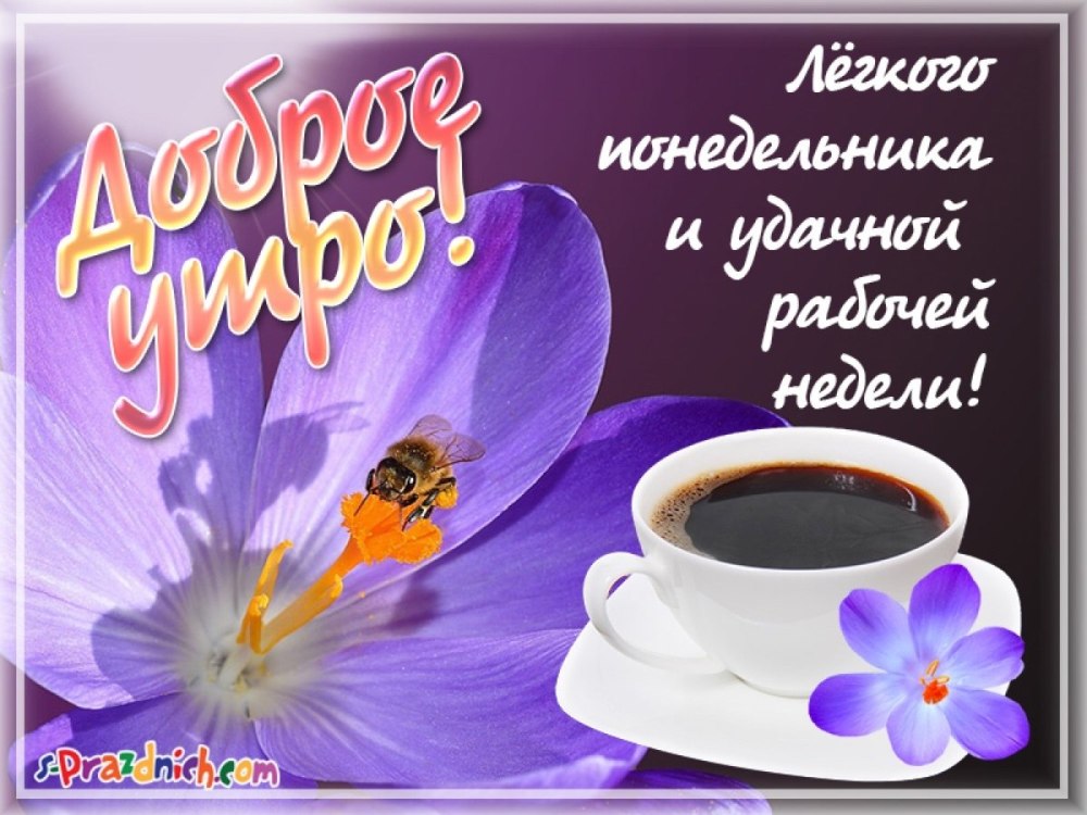 Поздравление с понедельником