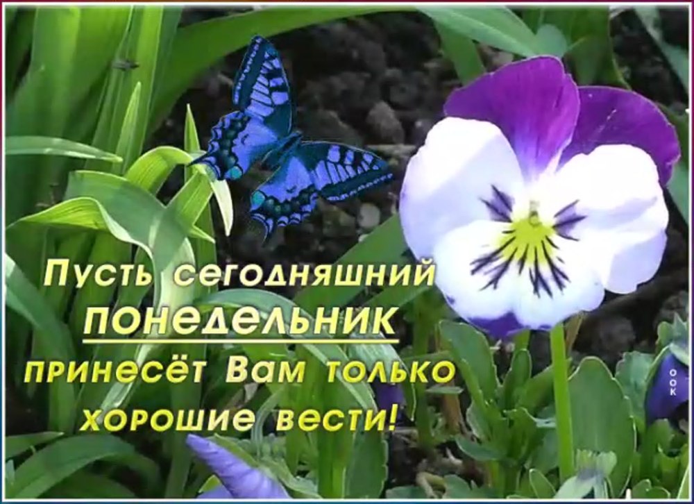 Хорошего понедельника и удачной недели