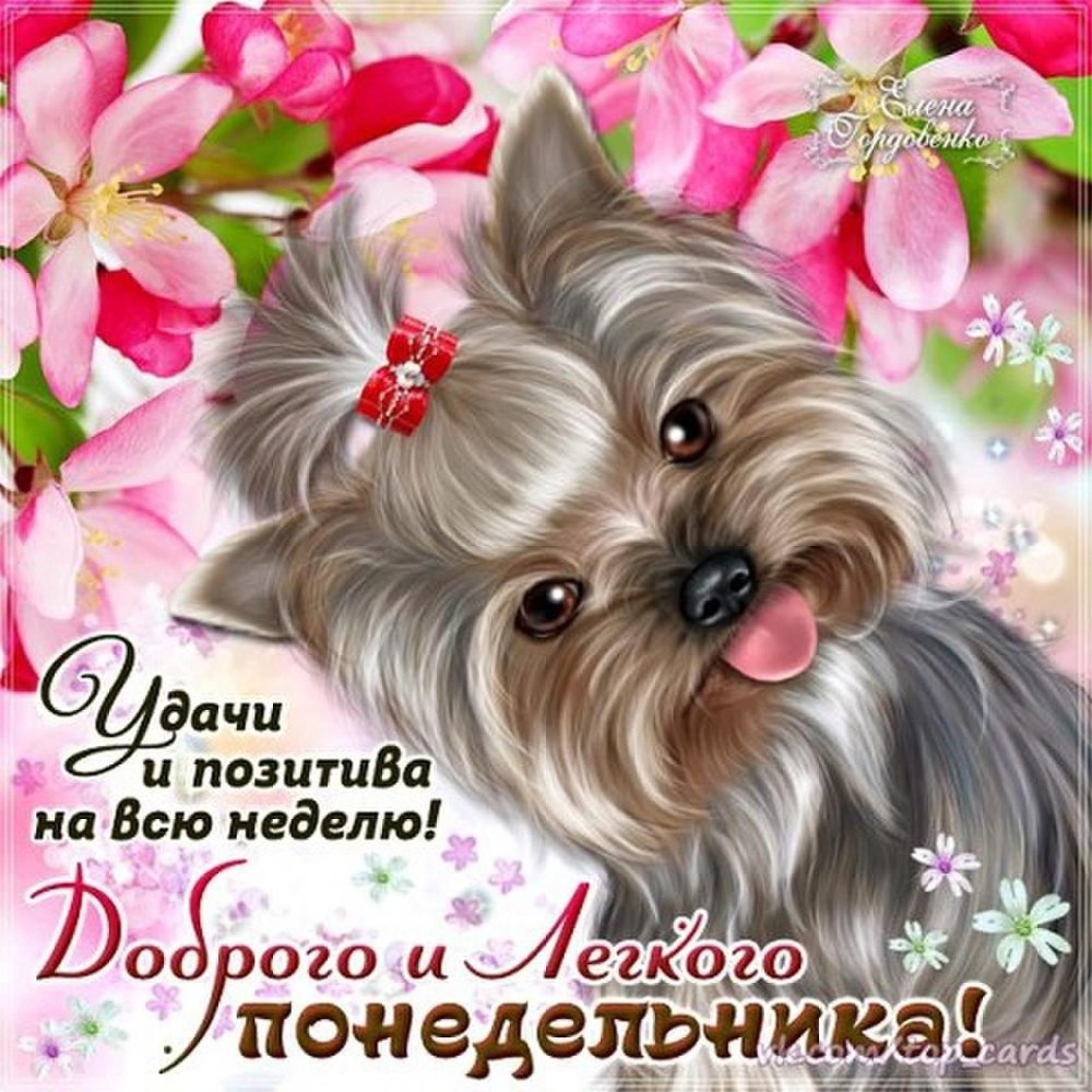 Поздравление с понедельником