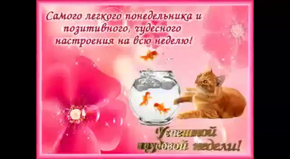 Поздравление с началом недели с понедельником