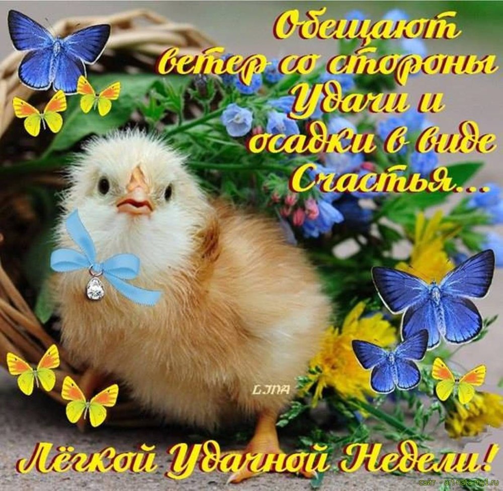 С добрым утром понедельника