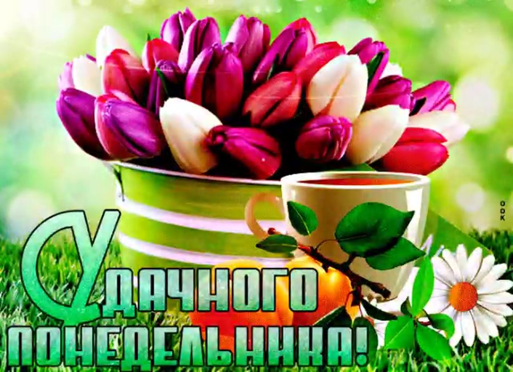 Открытки удачного понедельника