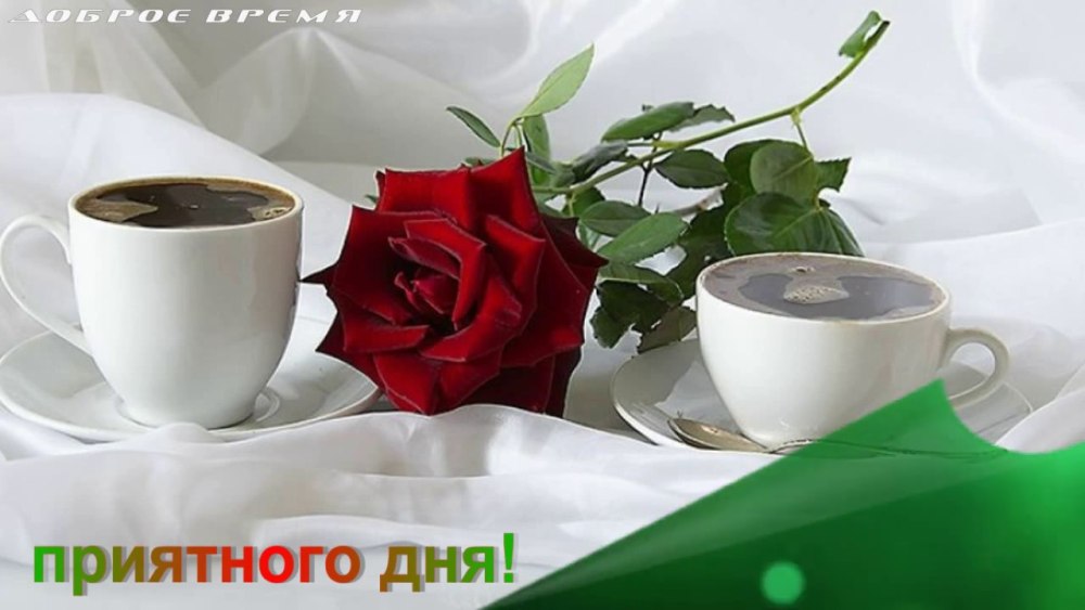 Крокусы в вазе