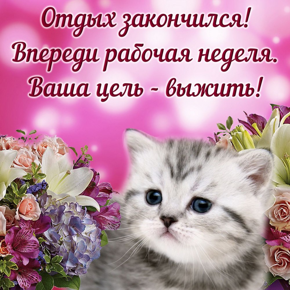 Пожелания хорошего понедельника