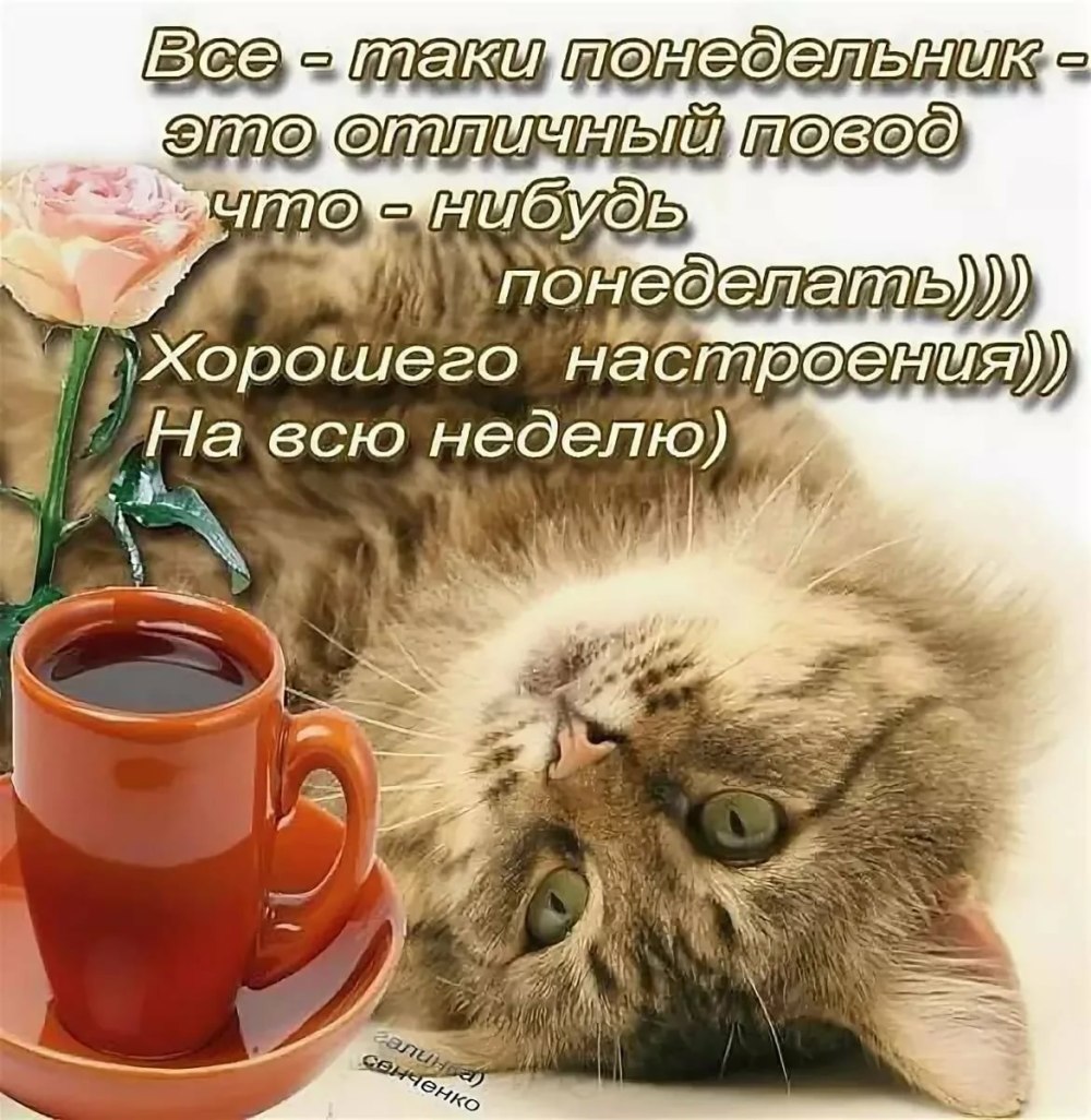 Пожелания легкого понедельника