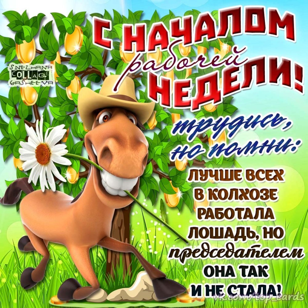 Удачной недели и хорошего настроения